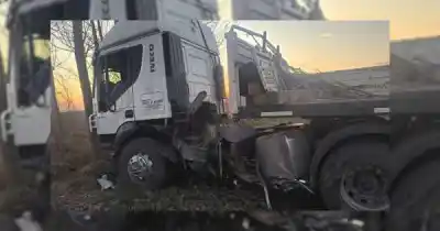 Manejaba un camión sin carga, se fue de la ruta y terminó adentro de una propiedad