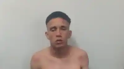 Atacó con un cuchillo de carnicero, se tiñó de rojo y la Policía no lo podía creer