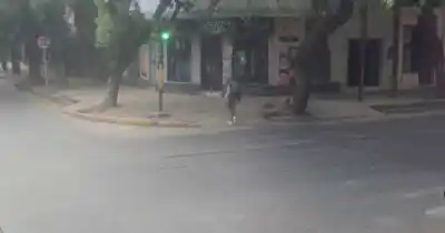 Entró al kiosco, sacó el arma y le dio una orden a la empleada de 19 años: qué se llevó