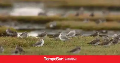 El rincón de Río Gallegos que cambió la forma de cuidar la naturaleza en Santa Cruz