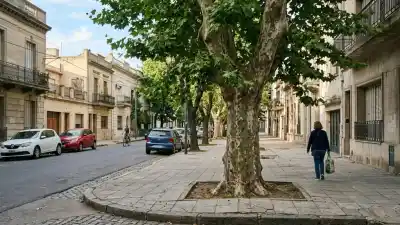 ¿Tu árbol está a punto de romper la vereda? Cinco especies que evitan el desastre