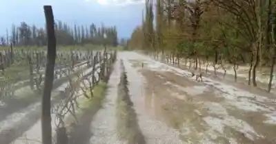 La tormenta sorprendió al Sur de Mendoza: el tramo de la ruta donde cayó granizo y nadie esperaba