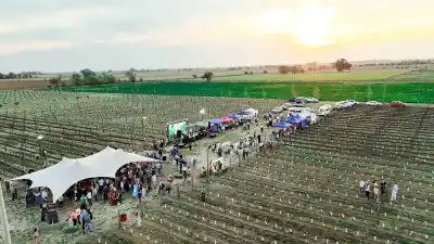 Trenel encendió la primavera y los viñedos pampeanos salieron a escena