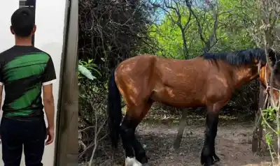Entró a la zona de matorrales con un cuchillo escondido: lo que la policía encontró atado lo dejó sin excusas