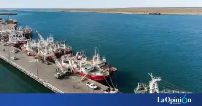 El puerto que no para de crecer: Puerto Deseado se metió entre los dos más grandes del país
