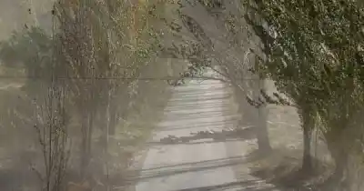 Alerta en Mendoza por el Zonda: lo que puede pasar esta tarde