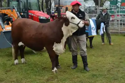 El campo de Curuzú Cuatiá mueve casi un cuarto de la ganadería correntina: la advertencia que llevó el ministro a la Rural