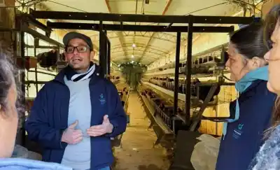 Uriburu sumó gallinas ponedoras: el plan que busca cambiar la producción local