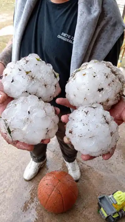El granizo que sorprendió a La Francia: las fotos que hablan por sí solas