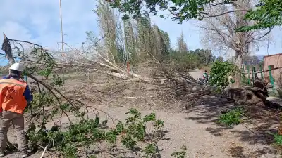 El viento desató el caos en San Juan: cuadrillas trabajan contrarreloj en Chimbas y Santa Lucía