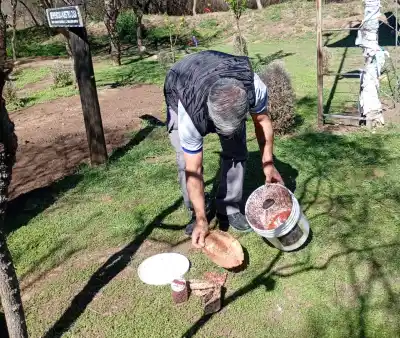 Liberaron 175 baldes de machos estériles en cuatro localidades: a quiénes alcanzó el operativo