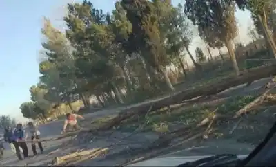 El viento no dio tregua en 25 de Mayo: lo que quedó tirado en plena calle