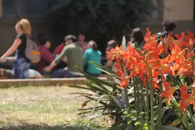 Tucumán sin clases este lunes: el motivo que muchos no conocen