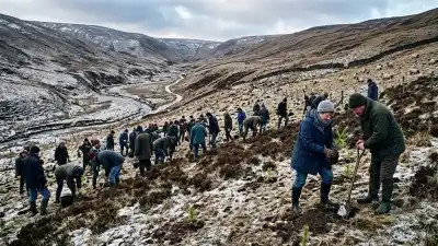 Plantaron 100 árboles y 25 años después el valle se transformó en un bosque imposible de reconocer