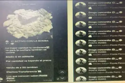 Ocho procesados por vender droga por Telegram: entre ellos, un rugbier y un ordenanza escolar