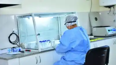 Formosa cerró la semana sin casos de COVID: el dato que sorprendió a todos