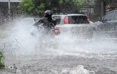 Alerta amarilla en Misiones: el Día de la Primavera arranca con un dato que preocupa