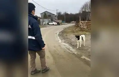 Recorrieron un barrio de punta a punta: 21 actas y dos perros que ya no están en la calle