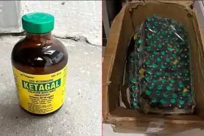 Encontraron un laboratorio de drogas en su casa, pero lo que la Justicia miró fue otra cosa