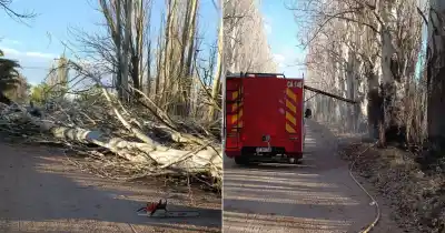 El viento Zonda dejó 183 problemas en Mendoza: los dos departamentos que no pudieron dormir