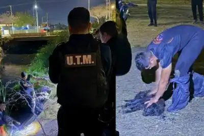Un perro cayó a un desagüe y la Policía tuvo que bajar a rescatarlo