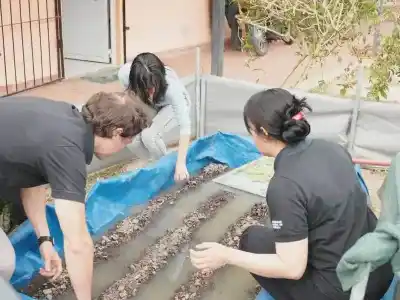 En Formosa crían pacú y verduras en el mismo tanque: el método que sorprende a los académicos