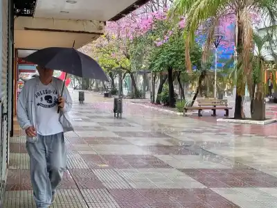 El Día de la Primavera llega a Resistencia con paraguas: lo que espera el SMN para las próximas horas