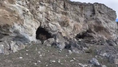 Caminaban por la estepa de Río Negro y la mirada de un gendarme destapó un secreto milenario