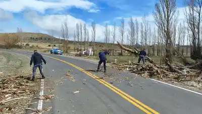 Ráfagas de 100 km/h y un álamo gigante: lo que la policía encontró en plena ruta 46