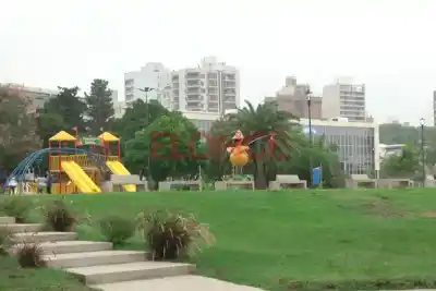 Alerta amarilla en Entre Ríos: el viento llega con ráfagas de hasta 80 km/h y un cambio que se siente
