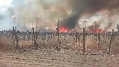 Se les quemó todo en Angaco y ahora duermen con el miedo de que el fuego vuelva: la familia tiene seis chicos y pide un lugar para no separarse