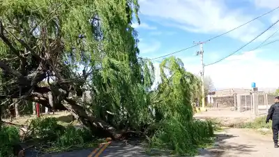 San Juan: el viento Zonda vuelve con ráfagas de hasta 50 km/h y una temperatura que sorprende