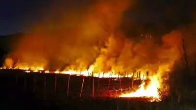 El incendio les dejó la casa sin agua ni luz: la decisión que tomó la mamá de seis chicos en Angaco