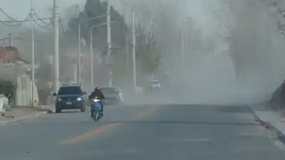 Neuquén arranca la primavera con ráfagas que ya se sienten: el día que el viento se lleva todo