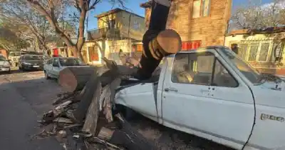 El Zonda tumbó un árbol sobre una camioneta en Las Heras: "Era mi herramienta de trabajo"