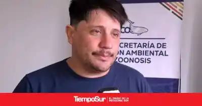 Caleta Olivia contará cuántos perros y gatos hay: el plan que sumará a los vecinos