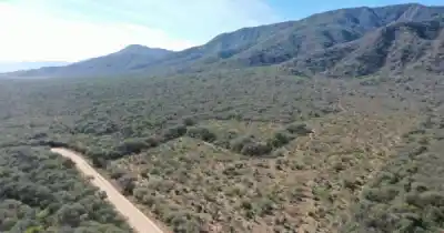 320 hectáreas en Salta salen a remate: el detalle que puede definir la inversión