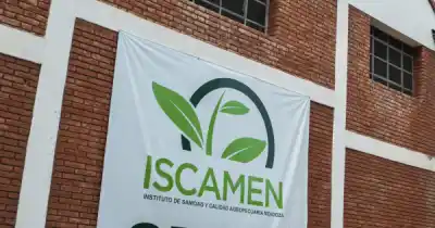 Mendoza rearmó el Iscamen: qué programas quedan bajo una sola secretaría