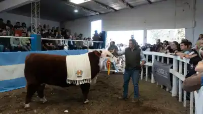 Conesa cerró su fiesta de la ganadería con una cifra que sacude a toda la Patagonia