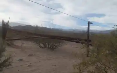 El Zonda quebró postes en Fiambalá y hay localidades que siguen a oscuras