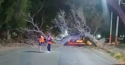 El viento Zonda dejó un tendal de problemas en San Juan: dónde siguen sin luz este lunes