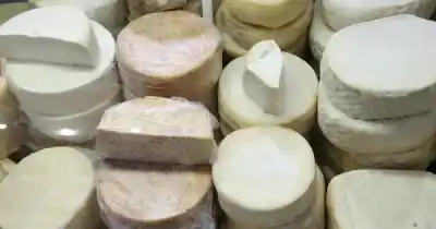Abrío la semana del queso en el Mercado San Miguel: el precio que sorprende a todos