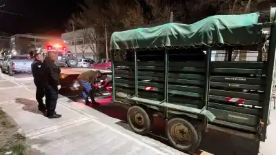 Lo pararon en la Ruta 40 con un caballo atado atrás: adentro de la camioneta no viajaba nada esperable