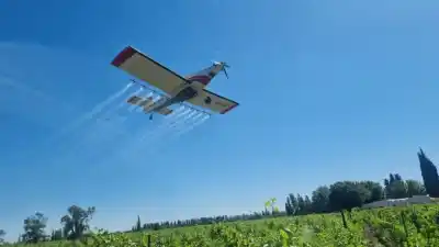 San Juan despliega aviones y drones contra las plagas: el plan que alcanza a miles de hectáreas