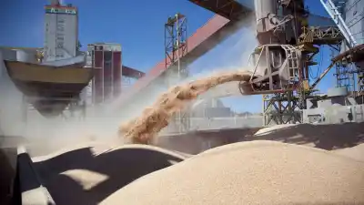 Soja récord en tres provincias, pero el dato que nadie mira está en las empresas que desaparecieron