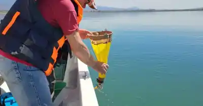 Recorrieron tres embalses de San Juan: lo que encontraron en el agua sorprendió a los especialistas
