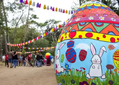 El bosque se transforma en un mundo mágico: lo que nadie te contó sobre esta celebración