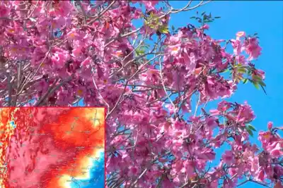 Entre Ríos vivirá una semana de dos caras: el frío que llega y el calor que se viene