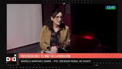 Alerta en el campo chaqueño: los ríos que antes se navegaban hoy están tapados y el agua no tiene por dónde salir