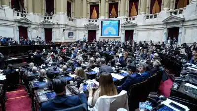 Discapacidad: la oposición va con la prórroga y LLA juega su carta que nadie vio